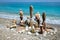 Concept of balance and harmony - pebble stone stacks on the beach