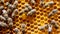 The concept of beekeeping, the texture of a honeycomb cell, on which the bees move and work. back ground