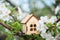 The concept of the beginning of spring. Miniature house on a flowering branch close-up and copy space. Wooden house and flowers as