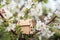 The concept of the beginning of spring. Miniature house on a flowering branch close-up and copy space. Wooden house and flowers as