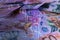 Concept of bonds. Many euro banknotes as background, closeup