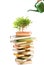 Concept.Books and watering pot