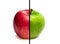 Concept of comparison green apple vs. red apple isolated on white background