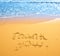 Concept or conceptual hand drawn thank you text carved in a golden sandy beach