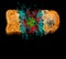 Concept of coronavirus distribution from bad food. Piece of grey bread with green mold on black background