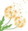 Concept dandelion. Vector