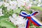 The concept of the Day of Russia. a bow made of a ribbon painted in the colors of the Russian flag on a branch of a