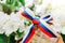 The concept of the Day of Russia. a bow made of a ribbon painted in the colors of the Russian flag on a branch of a