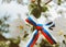 The concept of the Day of Russia. a bow made of a ribbon painted in the colors of the Russian flag on a branch of a