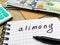 Concept demonstrates the payment of alimony, money allocated for the child