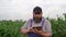 The concept of digital technologies in agriculture, a bearded man farmer dressed in uniform walks through the corn field