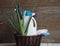 The concept of eco-friendly natural detergents. Detergents and cleaners with aloe vera plant on a wooden background in a natural