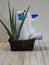 The concept of eco-friendly natural detergents. Detergents and cleaners with aloe vera plant on a wooden background in a natural