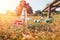 The concept of environmental pollution and ecology. A glass bottle stands in the grass with a cardboard box labeled TAKE to BIN.