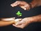 Concept of family. Hands of father and child hold a green plant