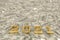 Concept of gold 2021 New Year text on maoney dollars background. 3D illustration