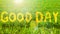 Concept: Good Day yellow lettering on green grass background