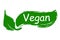 Concept green vegan diet logo with leaf icon - vector