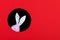 The concept, happy Easter, eared pink rabbit peeps out of the hole on a red background. Copy space