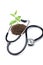 Concept of health care-Stethoscope and and plant