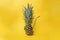 Concept of health and environment with a ananas, pineapple cut in half shot against a yellow background with a metal straw in it