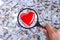 Concept of Health insurance. Red heart in magnifier against the background of Many dollar banknotes