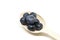 Concept for healthy diet with berries. A wooden spoon full of ripe blueberries on the table. Fresh ripe juicy bilberries