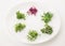 The concept of a healthy diet, the cultivation of microgreens - red amaranth, mustard, arugula, peas, cilantro on a