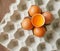 Concept healthy food, Fresh chicken eggs and yolk in eggshell on paper tray on yellow background