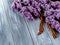 Concept holiday on may 9, victory Day. St. George`s ribbon and lilac branches as symbols of victory.