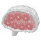 Concept: Human brain with red gearwheels inside. 3D rendering