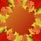 Concept and idea colorful autumn maple leaf background.