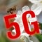 A concept on the impact of the fifth generation of â€œ5Gâ€ mobile networks on living organisms