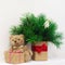 Concept of interior decor. Bear toy for baby, gift box, fir tree in vase