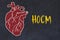 Concept of learning cardiovascular system. Chalk drawing of human heart and inscription HOCM