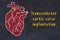 Concept of learning cardiovascular system. Chalk drawing of human heart and inscription Transcatheter aortic valve implantation