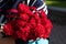 Concept of May 9 russian holiday Victory Day. bouquet of Red carnations isolated on white background. flowers on the