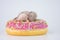 The concept of miniature. Newborn baby mice sit in a donut