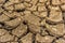 The concept of natural  drought of the environment on Earth: dry soil, cracked soil with soil erosion Becomes red that is not