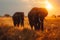 Concept Nature Conservation, Wildlife Sunset Serenade Elephants in Harmony with History