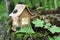 The concept of nature, green forest. Clay House on a wooden stump with leaves.