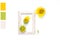 The concept of a palette of three colors. Sunflower in a wooden frame on a white background. Copy space.