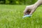 Concept photo, lawn finishing a woman`s hand with nail scissors mows a protruding blade of grass on a newly mown lawn