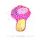 The concept of a pink toadstool is hand-drawn. Amazing drawing of psilocybin mushroom fly agaric. A toxic magical hallucinogenic