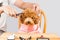 Concept of poodle dog fur being cut and groomed in salon