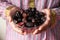 The concept of ramadan, hand holding a bowl of date fruits