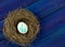 Concept of receiving interest from investments, bird`s nest with a white egg, image of percent on an egg,blue background
