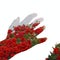 Concept of right hand silhouette with bush of red roses
