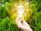 Concept save energy efficiency. Hand holding light bulb with icon on blurred tree background