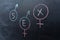 The concept of sexual education, symbols of gender on the chalk Board